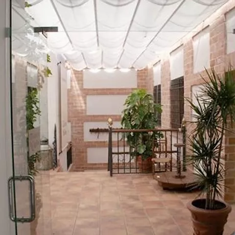 Patio interior con plantas en macetas y techo translúcido.