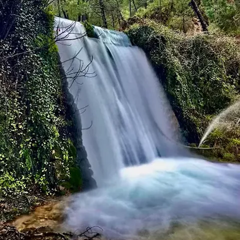 Cascada de agua clara cayendo entre vegetación frondosa.