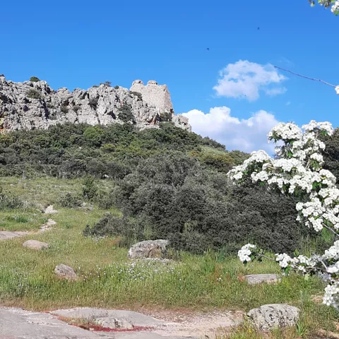 Castillo en ruinas entre rocas y arbustos en flor
