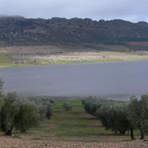 Laguna rodeada de olivos con laderas y sierras al fondo