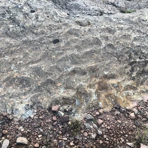 Ondas fósiles en roca sedimentaria