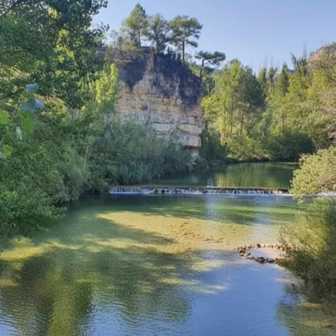 Río Tajo en bosque.