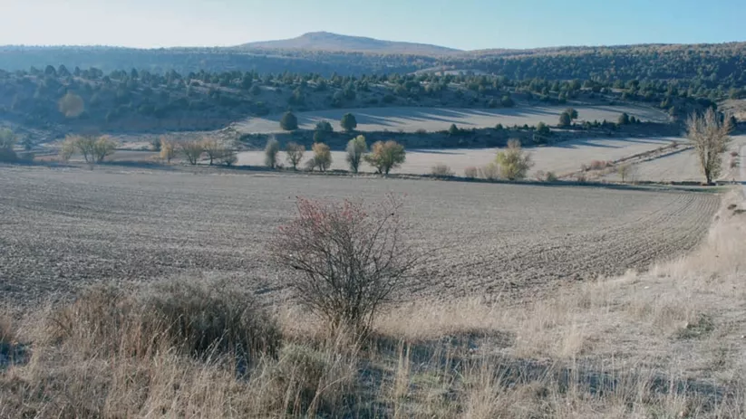 Campos agrícolas en paisaje de paramera
