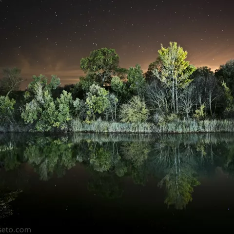 Río y arboleda reflejados de noche.