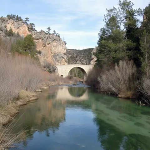 Puente de piedra y río