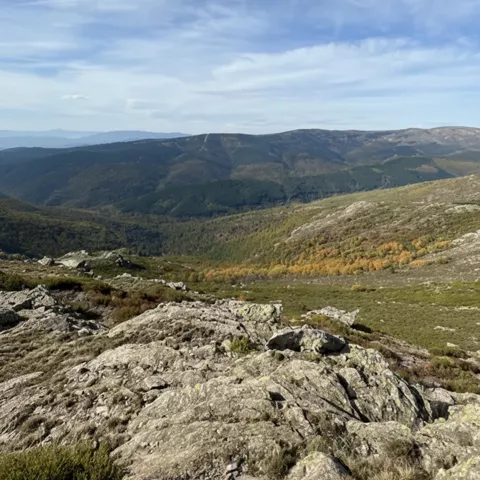 Paisaje montañoso con rocas y matorral de altura.
