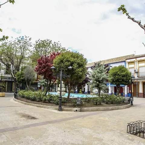 Plaza con fuente central, árboles y edificios alrededor.