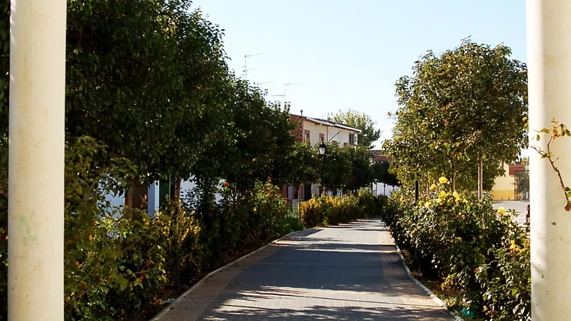 Paseo ajardinado con pérgola y columnas