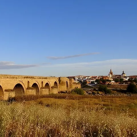 Puente de varios arcos entre paisaje rural