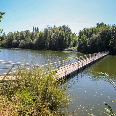 Puente peatonal de madera sobre un río rodeado de vegetación.