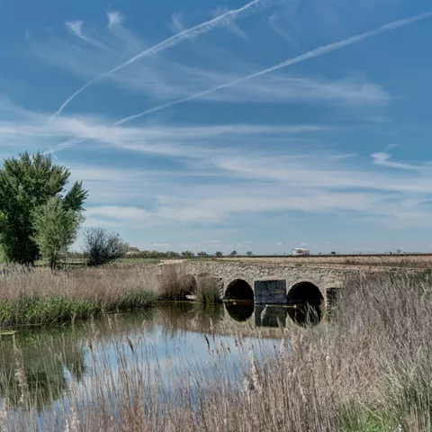 Puente de piedra sobre río rodeado de vegetación.