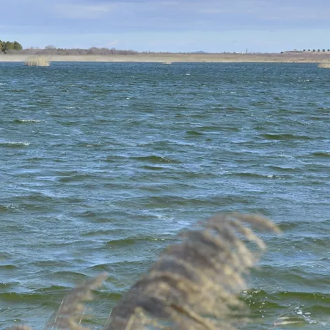 Laguna de aguas azules con carrizos en la orilla.
