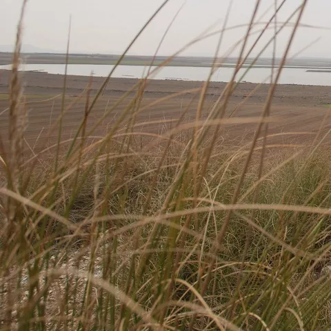 Vista panorámica de laguna rodeada de pastos altos y campo abierto.