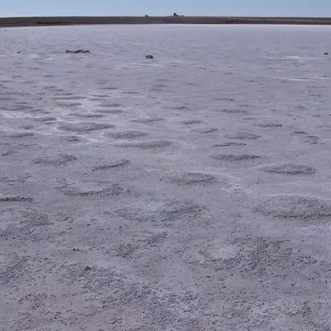 Laguna salina seca con superficie blanquecina y horizonte llano.
