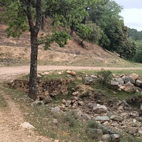 Pedrera en ladera boscosa con montañas al fondo.