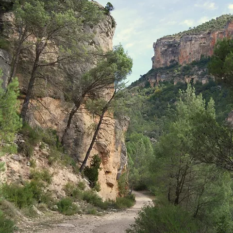 Sendero entre cañones del Alto Tajo.