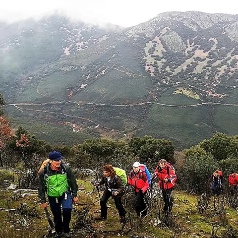 Grupo de senderistas subiendo por ladera de montaña