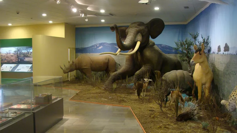Recreación de fauna prehistórica a tamaño real en sala museográfica