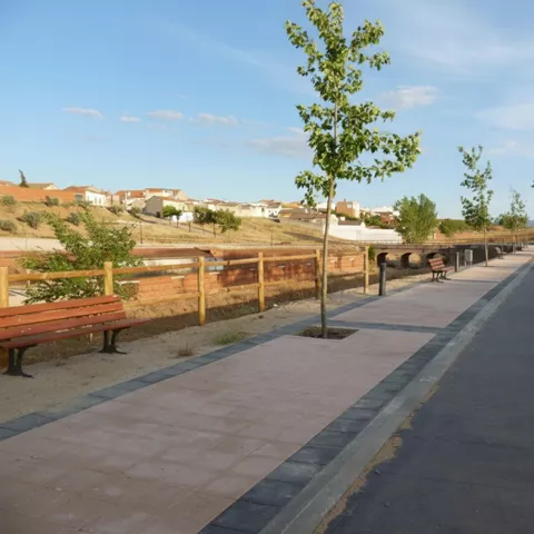 Paseo peatonal con bancos de madera y árboles jóvenes junto a un camino asfaltado en una zona rural.