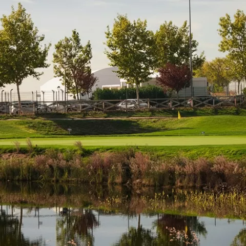 Green junto a estanque y arbolado