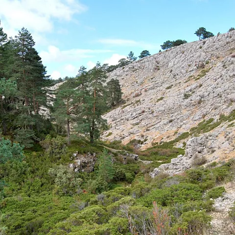 Ladera caliza de montaña.