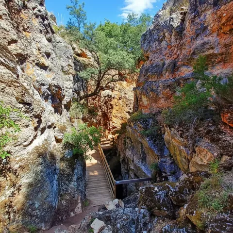 Garganta rocosa con pasarela de madera y vegetación bajo cielo azul.