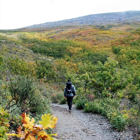 Excursionista por camino de montaña.