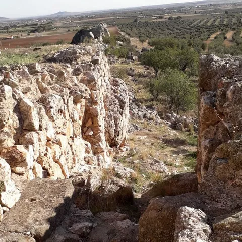 Restos de muralla de piedra con vista al paisaje agrícola
