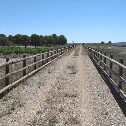 Camino de tierra recto con barandillas de madera entre campos