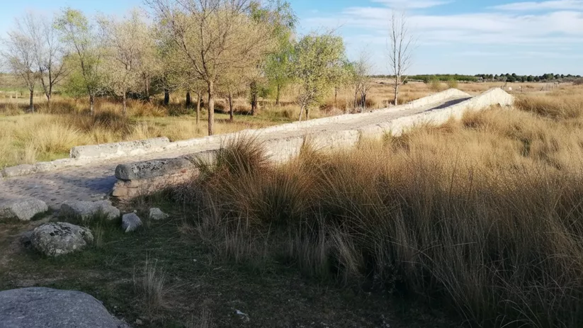 Una vista en perspectiva de un camino de puente de piedra rústico que se extiende a través de un campo de hierba alta y seca