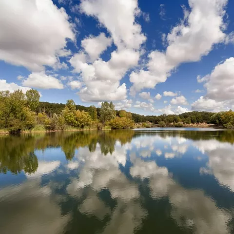 Laguna con reflejo del cielo y vegetación