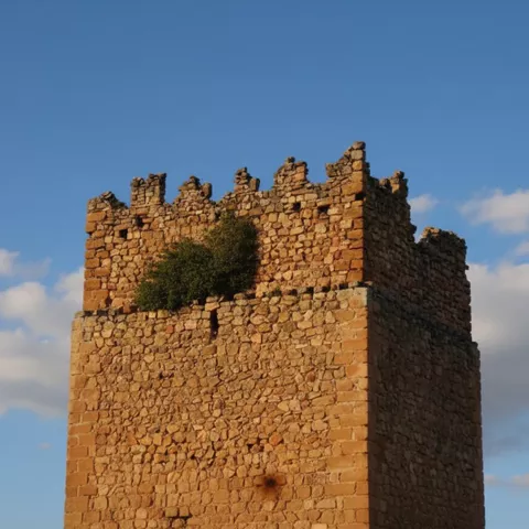 Detalle de torre de piedra con vegetación en lo alto