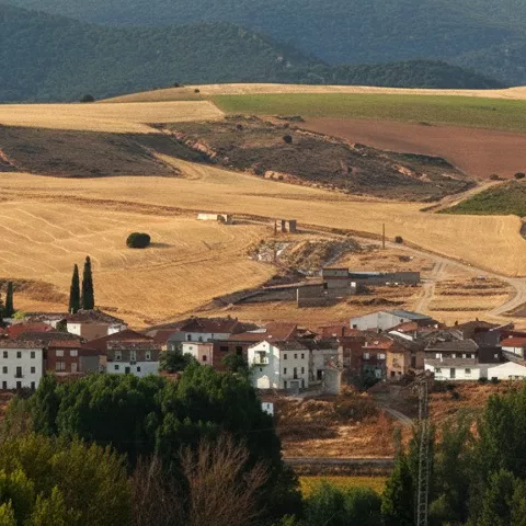 Panorámica del núcleo urbano entre campos
