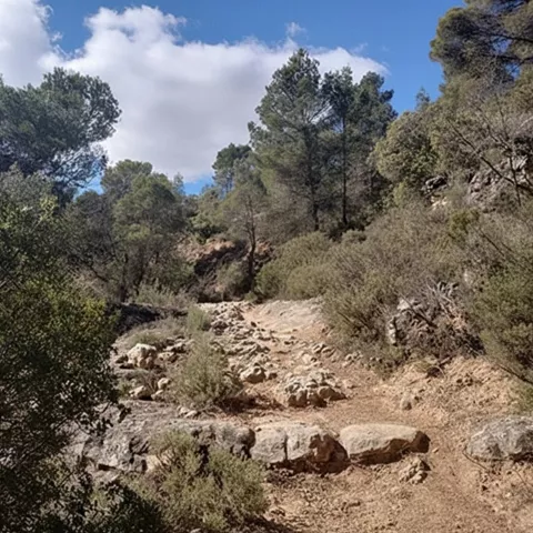 Sendero natural entre monte mediterráneo