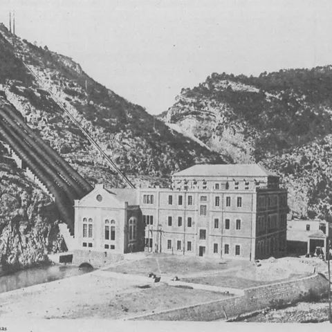 Casa en ruinas cubierta por vegetación densa y árboles.
