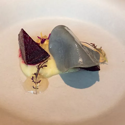 Plato gastronómico con piezas vegetales, crema suave y presentación artística.