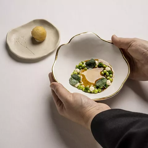 Manos sosteniendo plato de alta cocina con verduras y salsa en presentación circular.