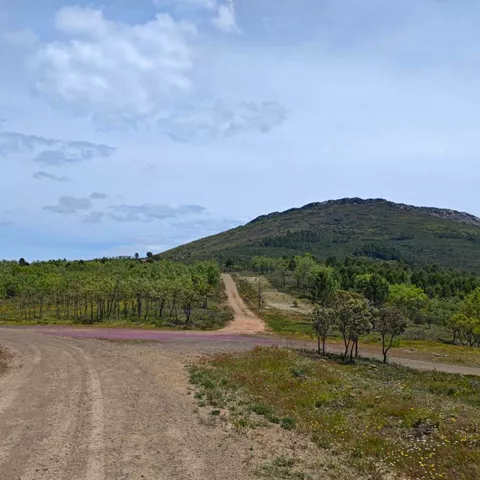 Cruce de caminos de tierra frente a una colina