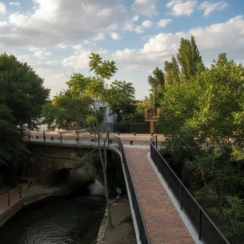 Pasarela peatonal sobre un canal de agua en un entorno arbolado.