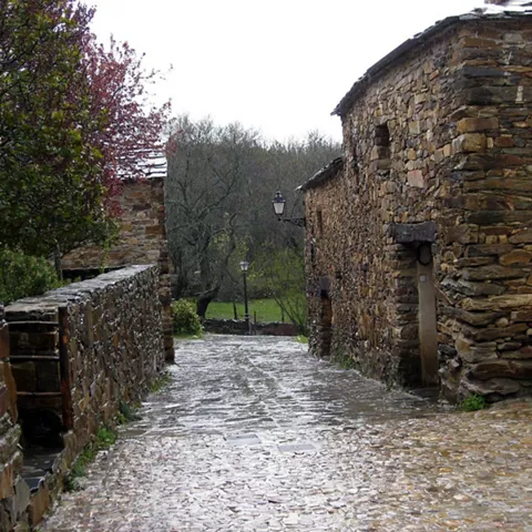 Camino empedrado entre muros de piedra tras la lluvia.