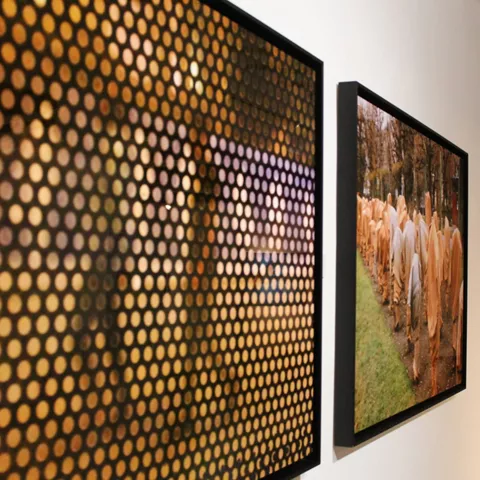 Muestra en el MAC de Villanueva de los Infantes