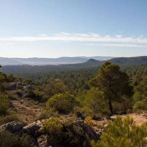 Microrreserva Cuerda de la Melera en Yeste