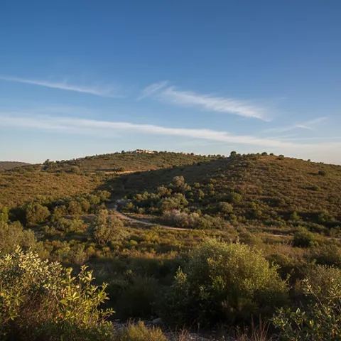 Peñas Coloradas, Yeste