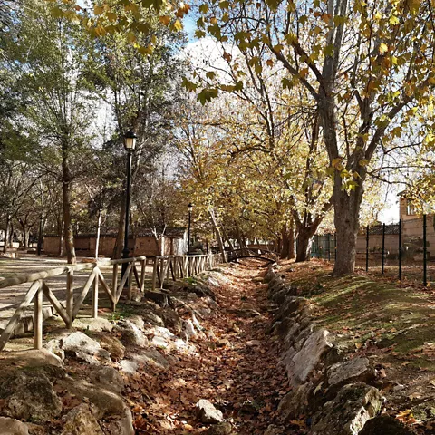 Paraje Natural El Peral en Valdepeñas, Ciudad Real