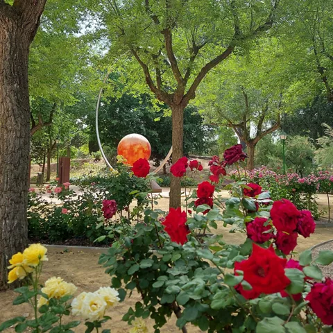 Entorno del Parque Julián Gómez-Cambronero