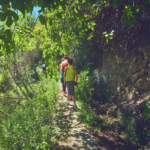 Turismo activo y senderismo en Letur