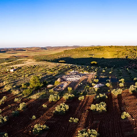 Entorno del yacimiento de Castillejo del Bonete