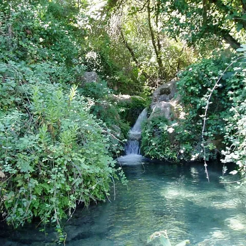 Baño en el Charco Pataco de Letur