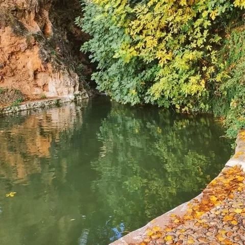 Panorámica del Charco de las Canales de Letur