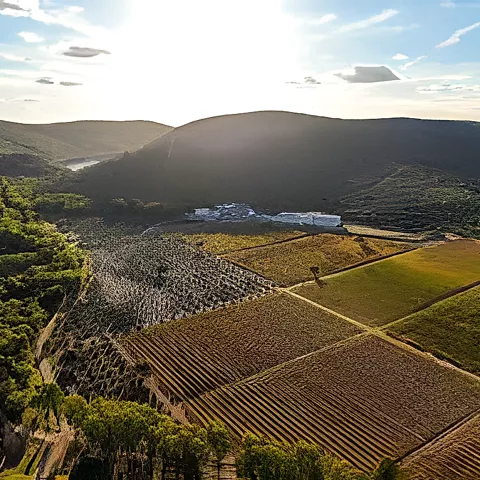 Entorno del Pago Dehesa del Carrizal en Retuerta del Bullaque